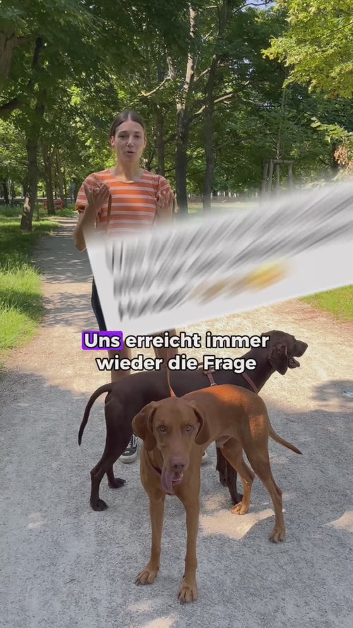 Video Vorschau