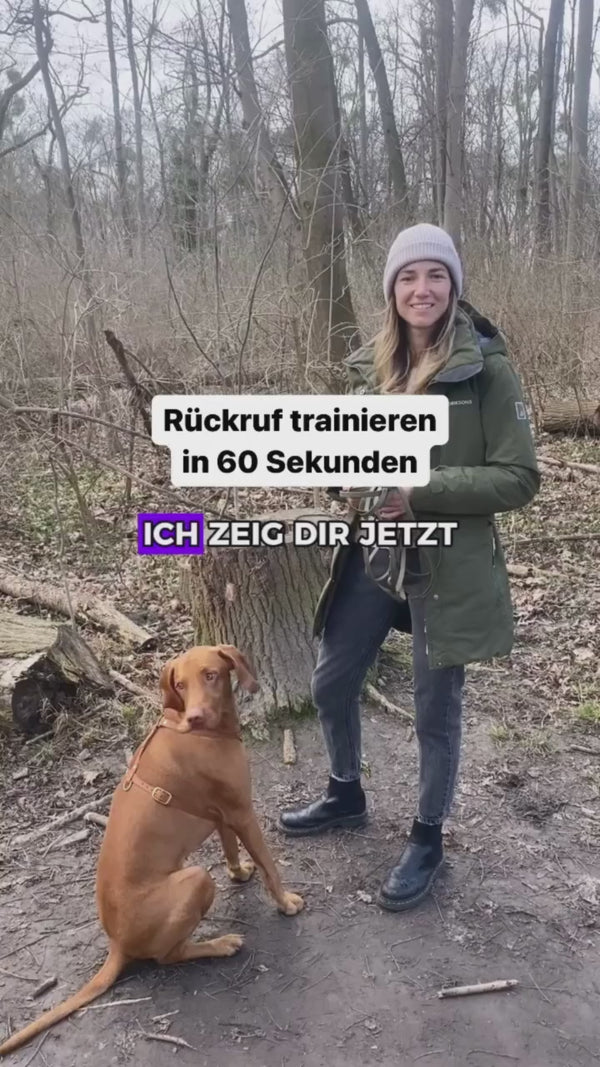 Video 1