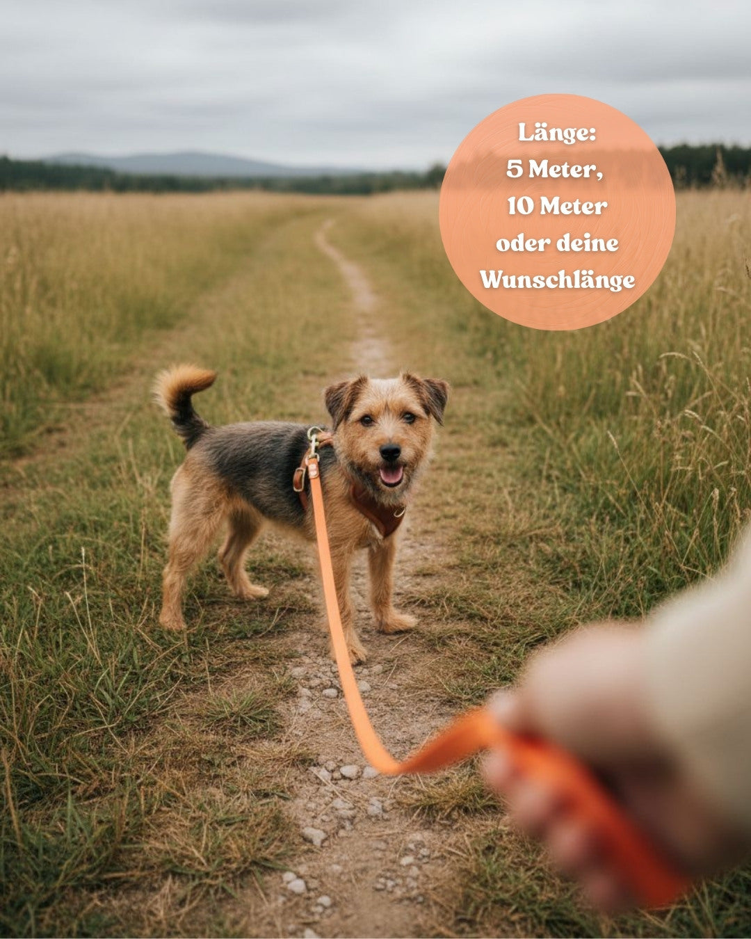 Wasserfeste Schleppleine aus Biothane