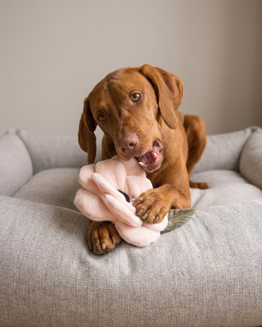 Plush toy 'Sheep'