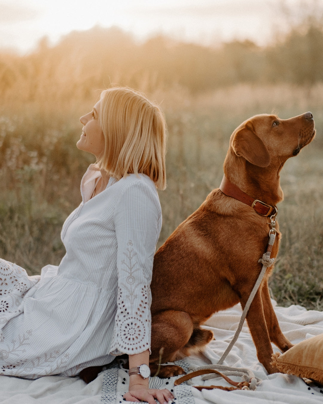 Personalizable collar with name | cognac