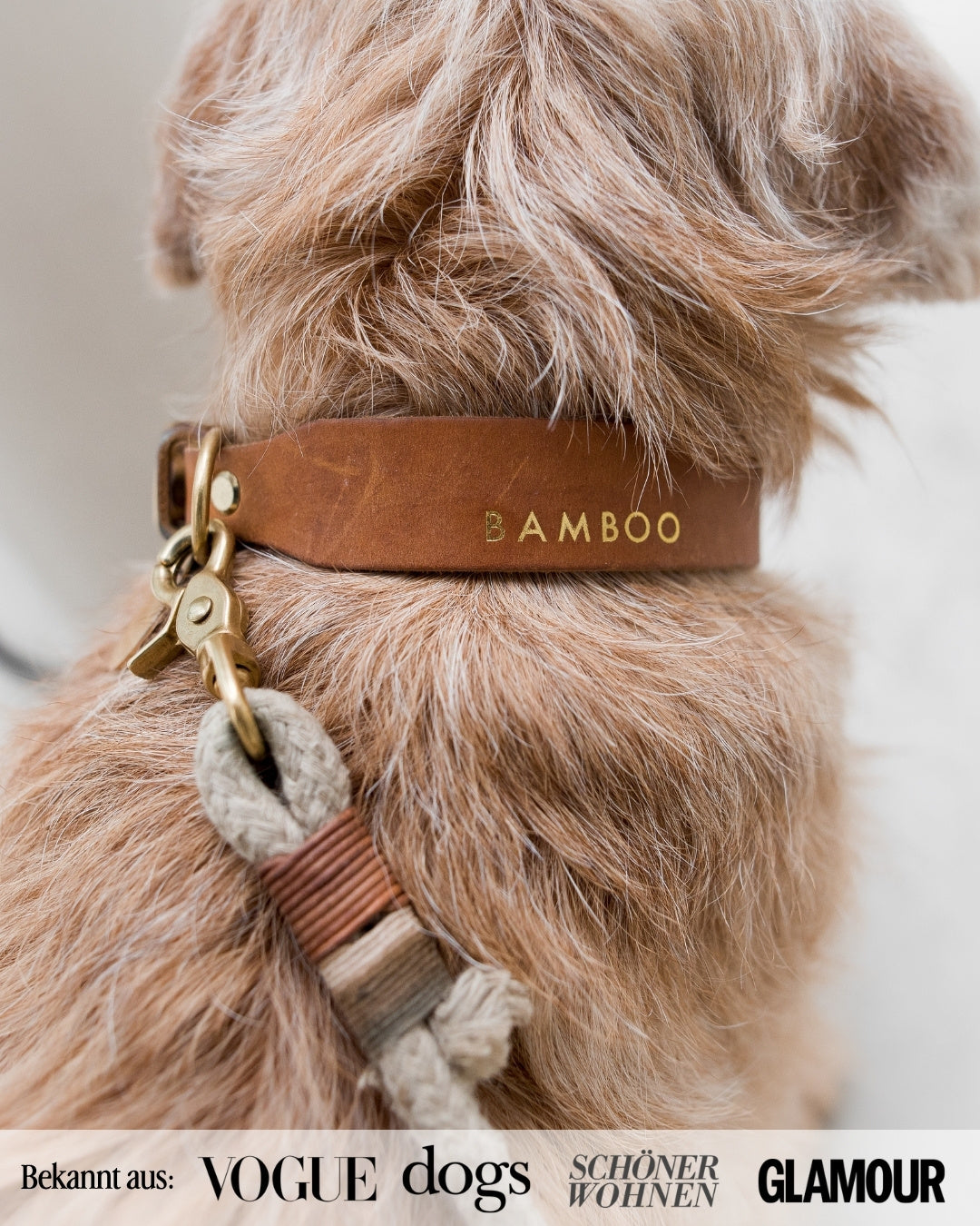 Personalisierbares Lederhalsband  mit Name | Cognac