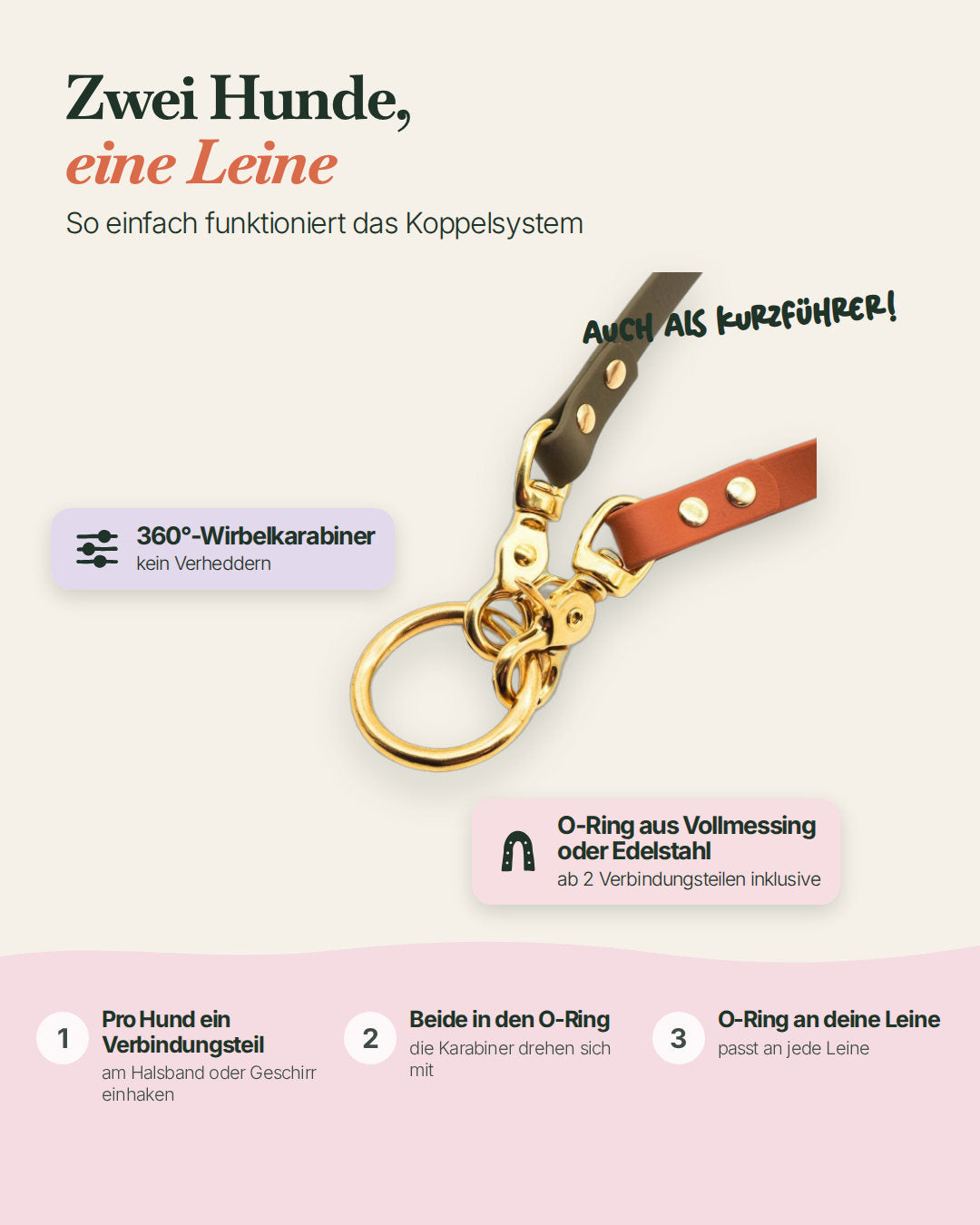 So funktioniert das Koppelsystem: O-Ring einhängen, Verbindungsteile einhaken, losgehen