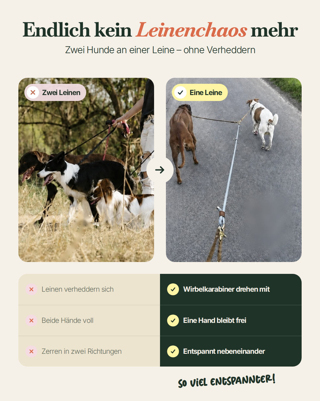 Endlich kein Leinenchaos mehr: zwei Hunde an einer Leine ohne Verheddern mit den Pawsome Verbindungsteilen