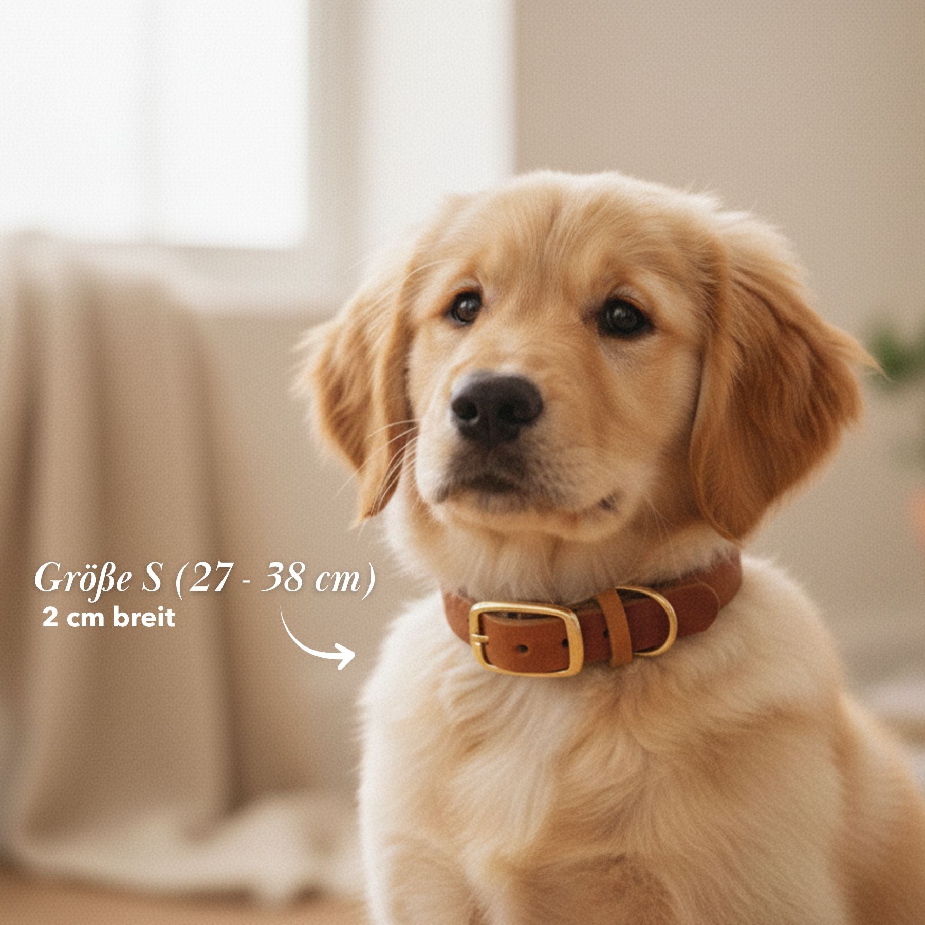 Personalizable puppy collar made of greased leather