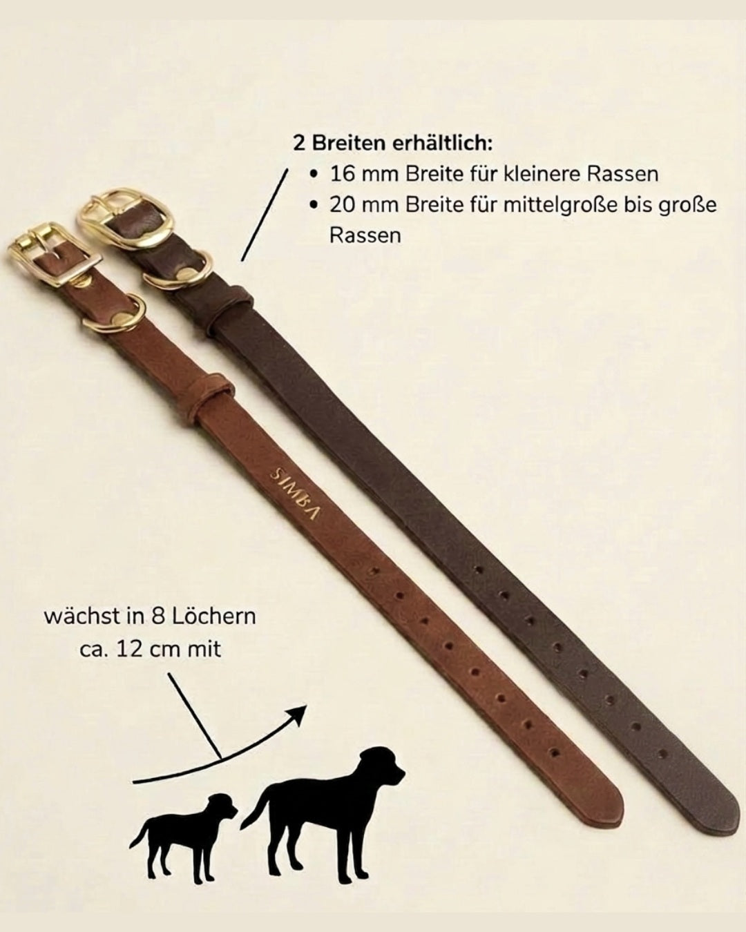 Puppy Special: Set | Puppy collar &amp; rope leash including 25% voucher