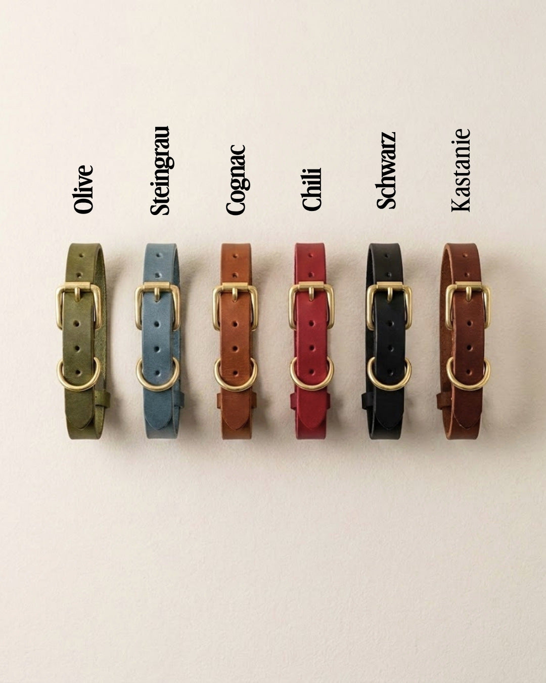 Puppy Special: Set | Puppy collar &amp; rope leash including 25% voucher