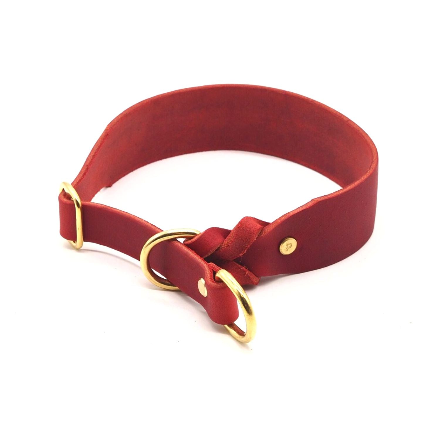 Pull stop collar made of greased leather 'Chili'
