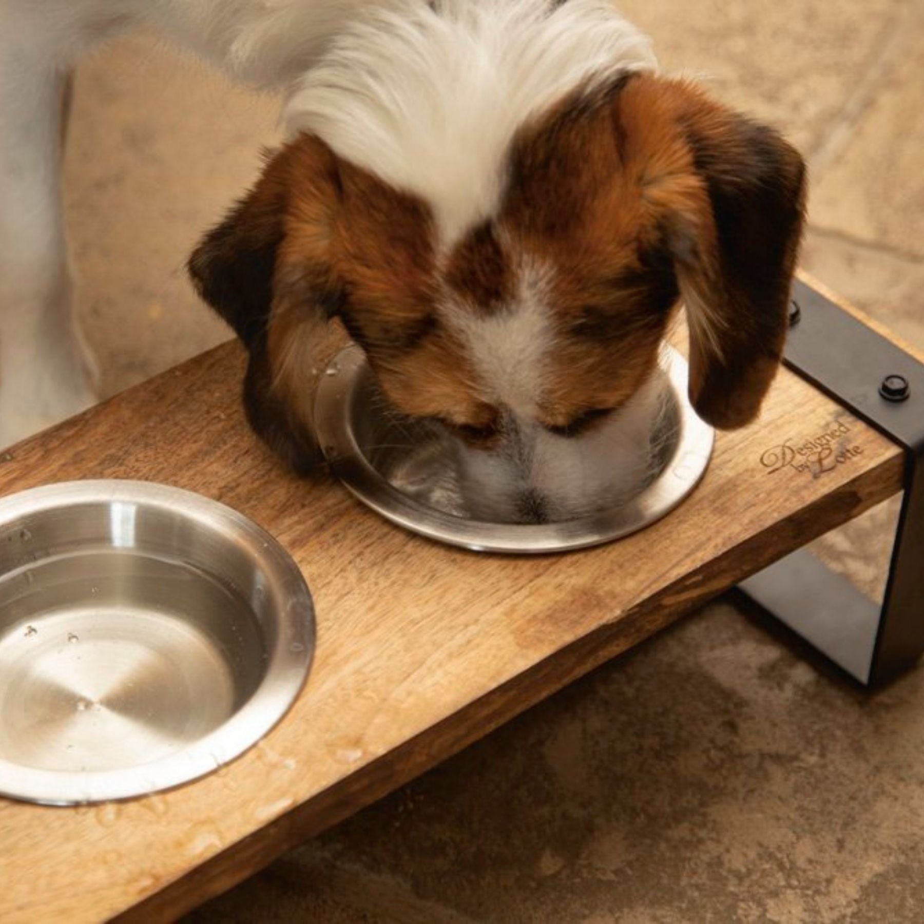 Diese hochwertige Futterstelle von Designed by Lotte vereint Funktionalität mit Stil. Die Futterstelle im Industrial-Design bietet deinem Hund einen Wasser- und Futternapf. Die Anti-Rutsch-Schicht verhindert das Klappern der Näpfe. Schutzfüße verhindern Kratzer im Boden. Zu kaufen bei Paswome Hundezubehör.