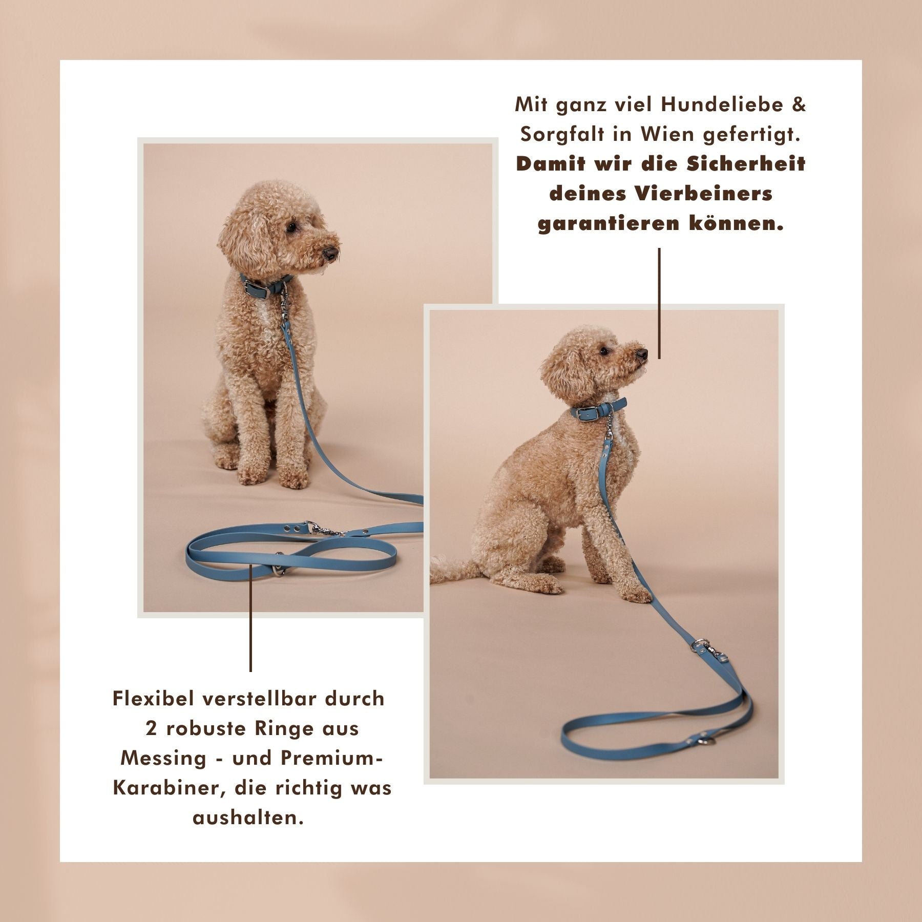 Dog leash made of Biothane® 'Dusty Blue' 