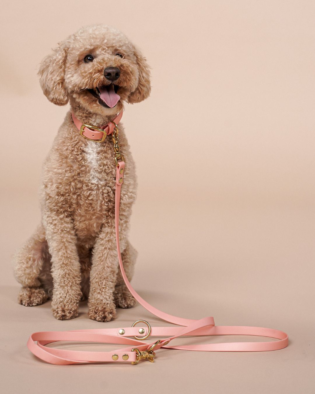 Dog leash made of Biothane® 'Rosegold' 