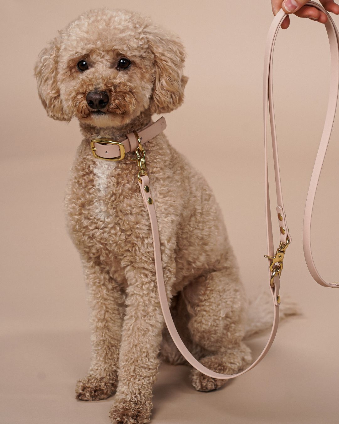 Dog leash made of Biothane® 'Sand' 