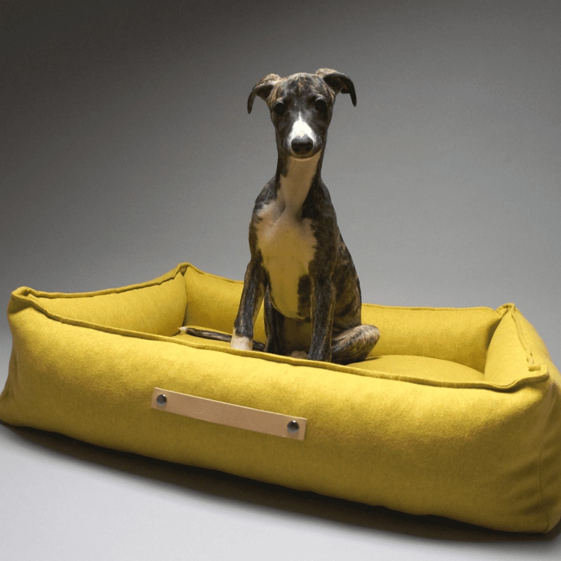 Dieses Bild zeigt ein Hundebett im nordischen Stil von LABBVENN. Es heißt Møvik und ist in drei Farben und drei Größen erhältlich. Das Bett wird für deinen Hund in sorgfältiger Handarbeit hergestellt, ist nachhaltig und sehr luxoriös. Dies ist die Farbe Honey-Gelb.