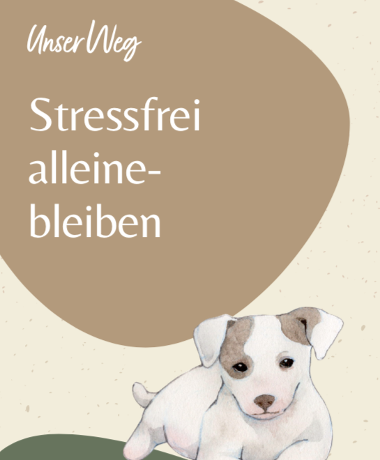 Free e-book 'Staying alone stress-free'