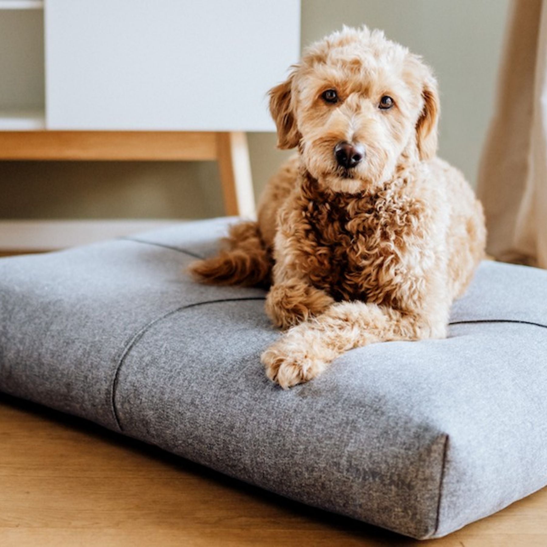 Dog cushion 'Finno'