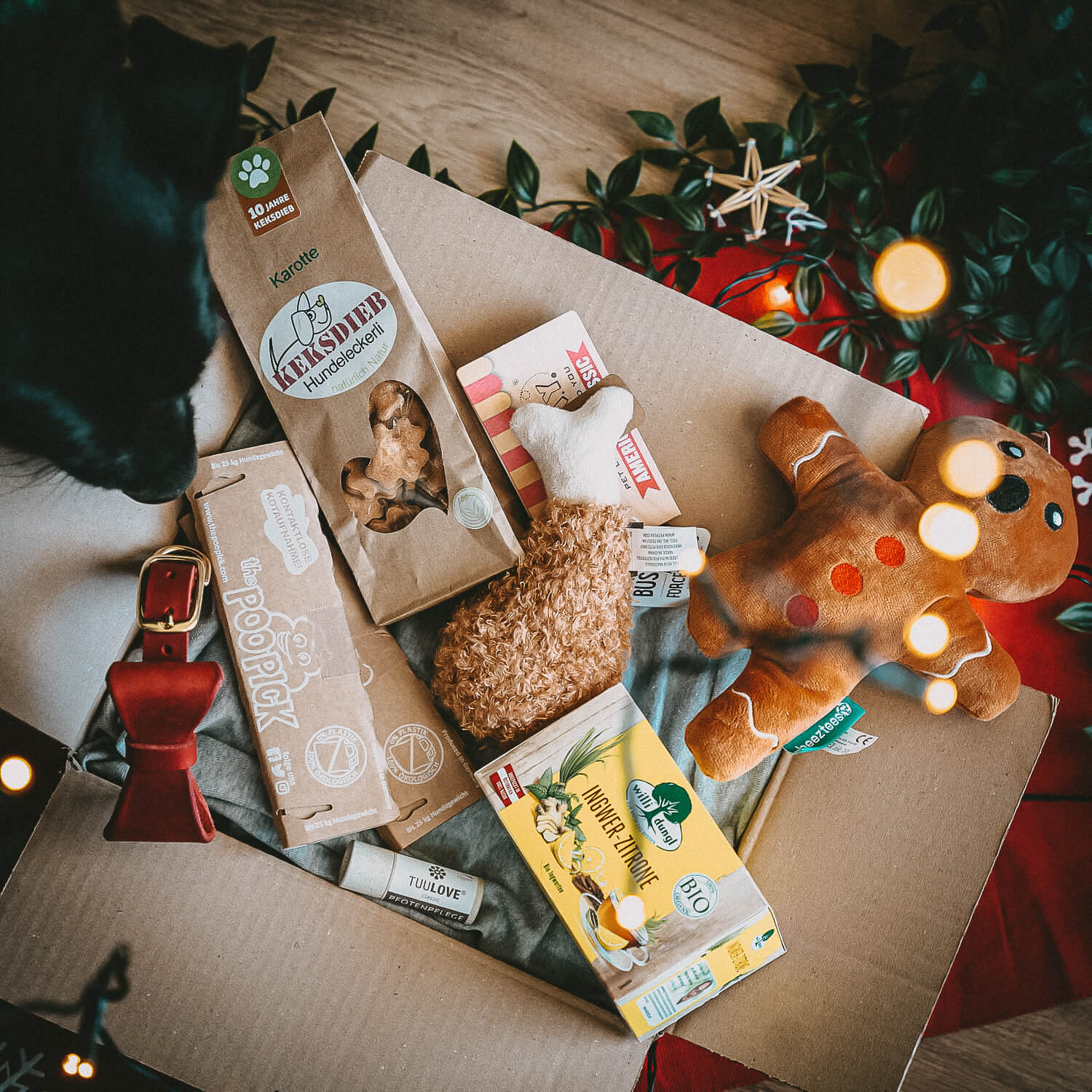 SPECIAL Weihnachts-Geschenk Box